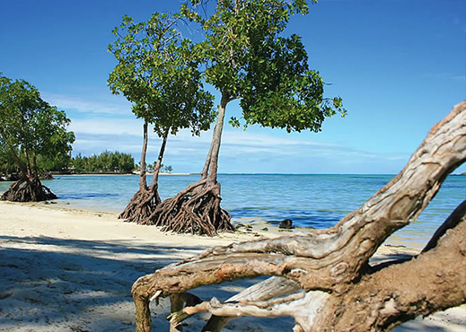 Poste Lafayette Mauritius Map Poste Lafayette Beach